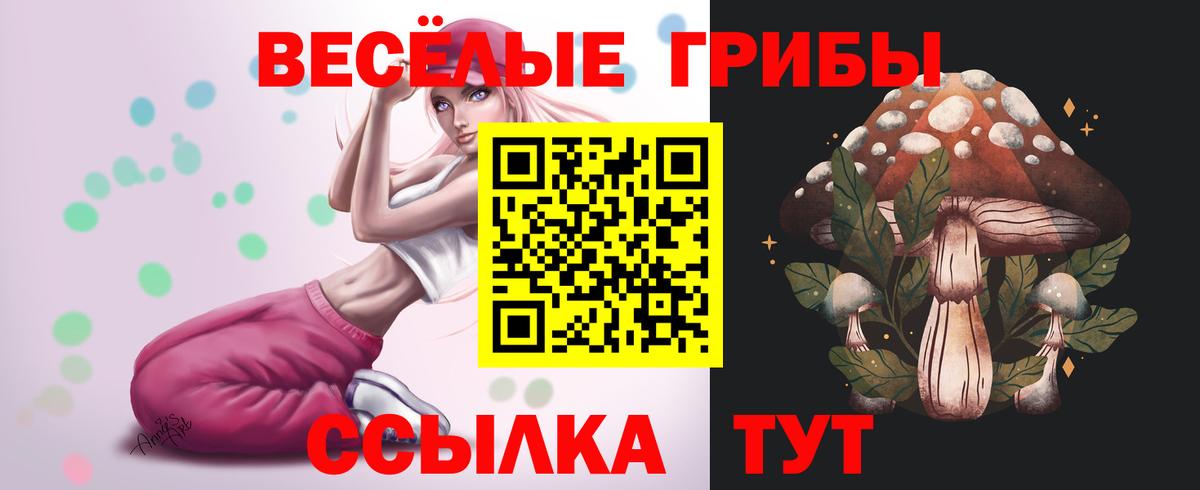 Кириши  Псилоцибиновые грибы GOLDEN TEACHER  Вход с VPN 